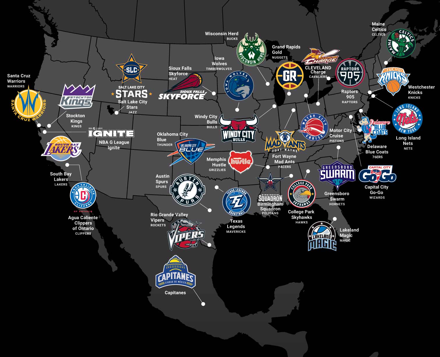 的敏锐嗅觉 的敏锐嗅觉